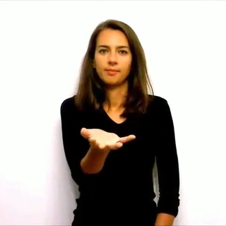 Znak „ile" w polskim języku migowym (PJM)